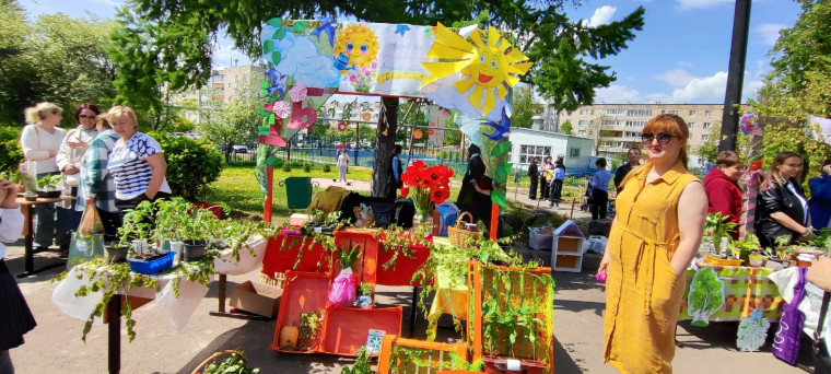Школьная ярмарка зеленых растений.